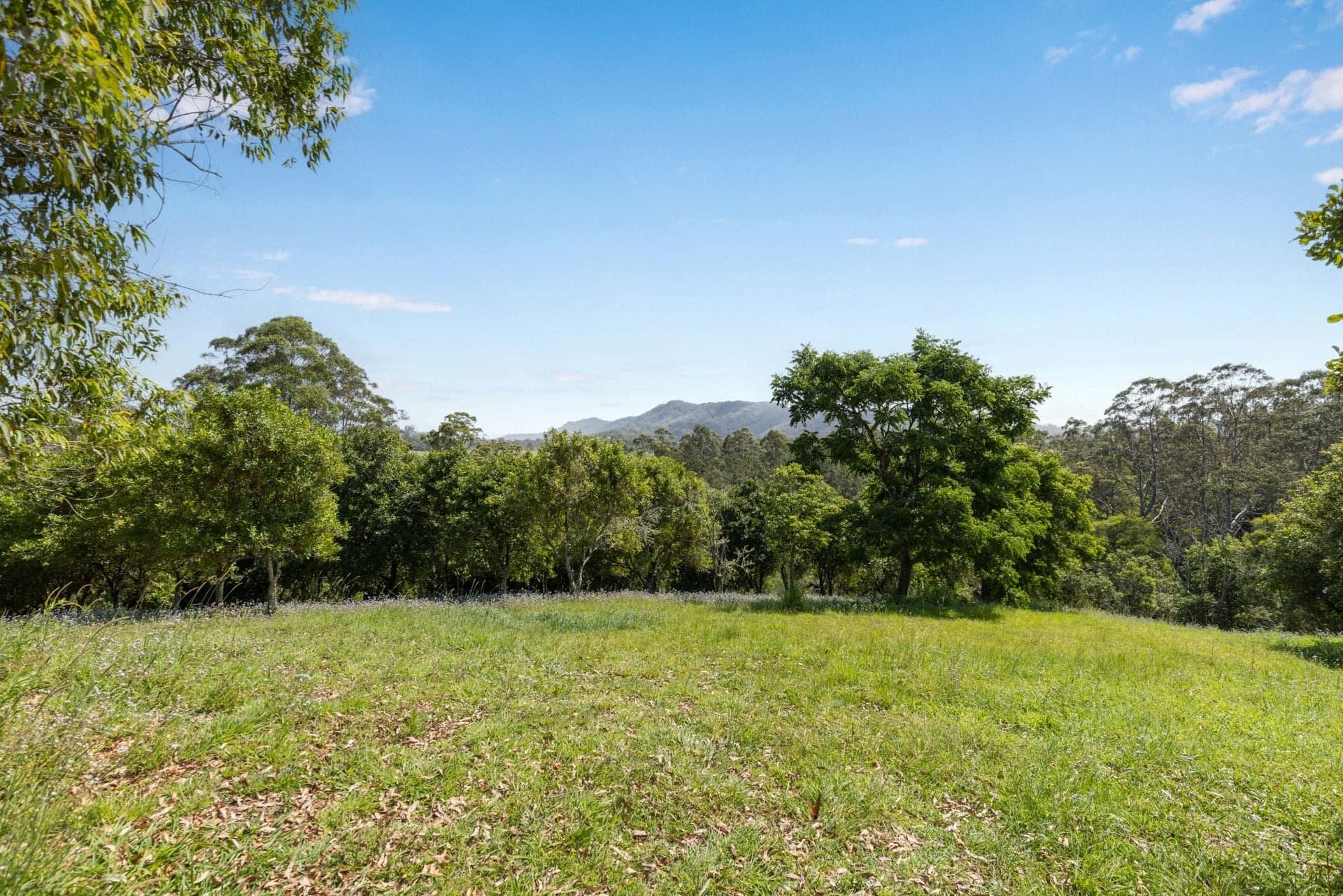 Lot 11 Highfield Road VALLA NSW, Valla - Thumbnail 7