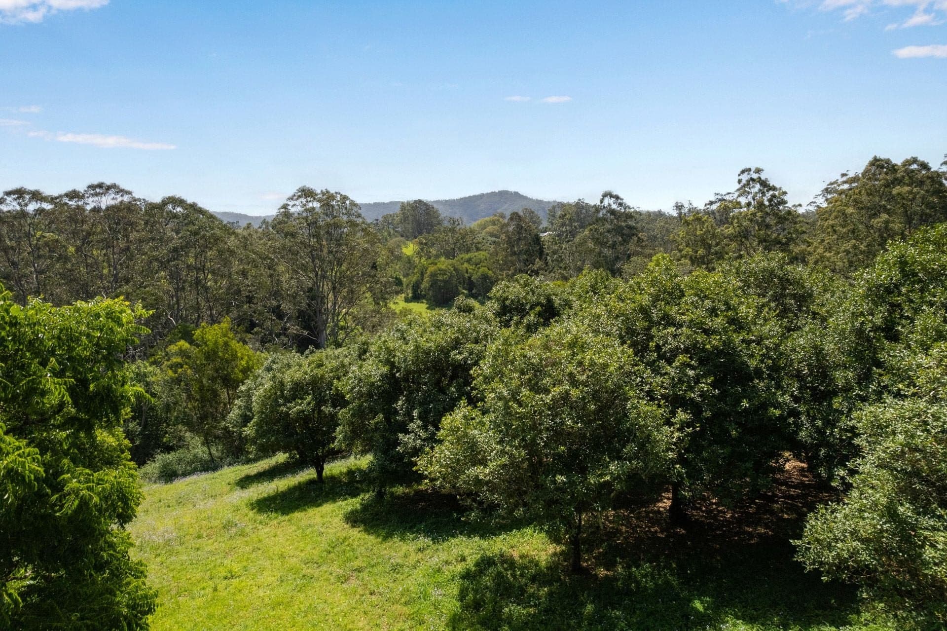 Lot 11 Highfield Road VALLA NSW, Valla - Thumbnail 8