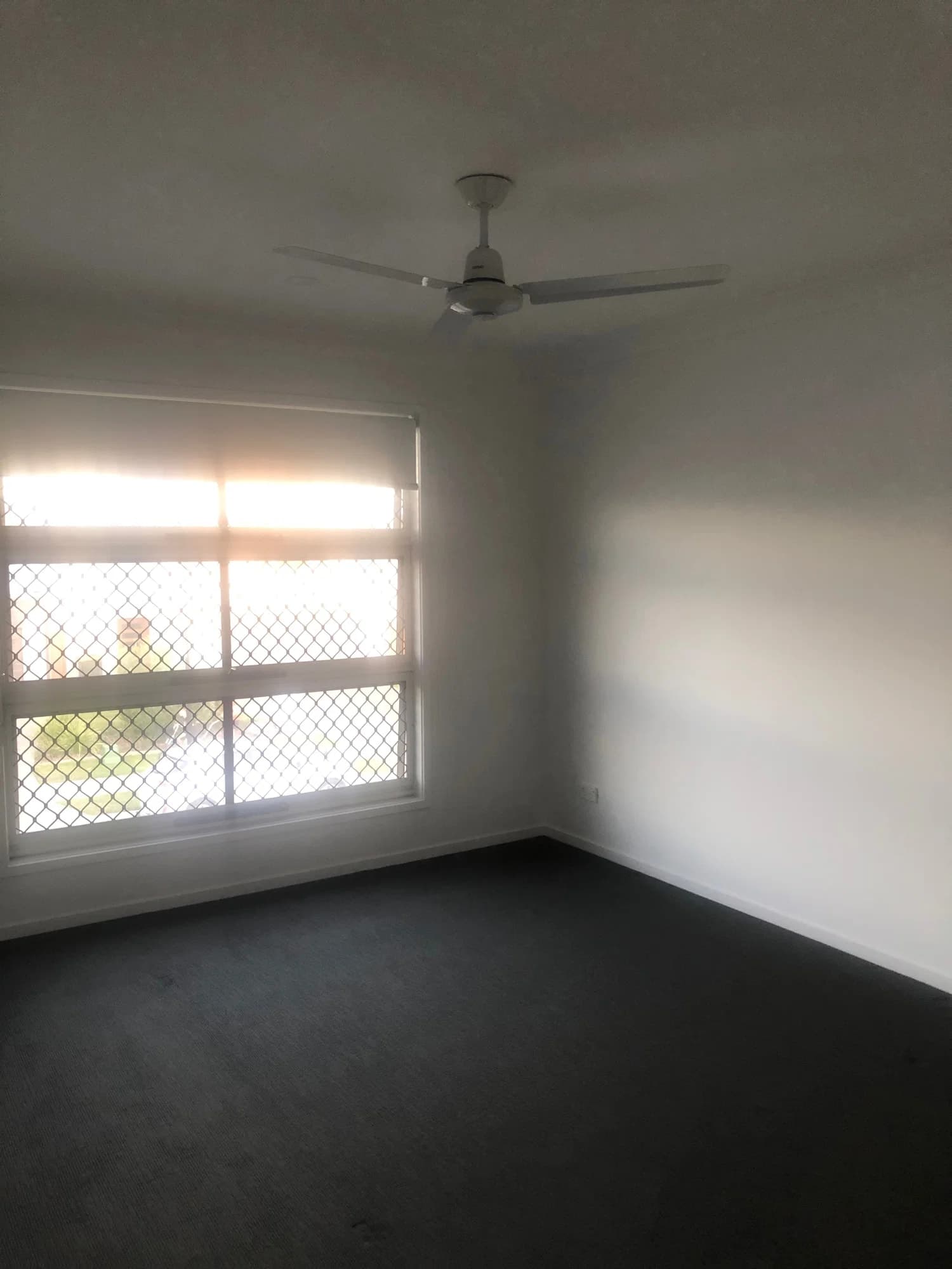 31 Morna St Newport QLD 4020, Newport - Thumbnail 5