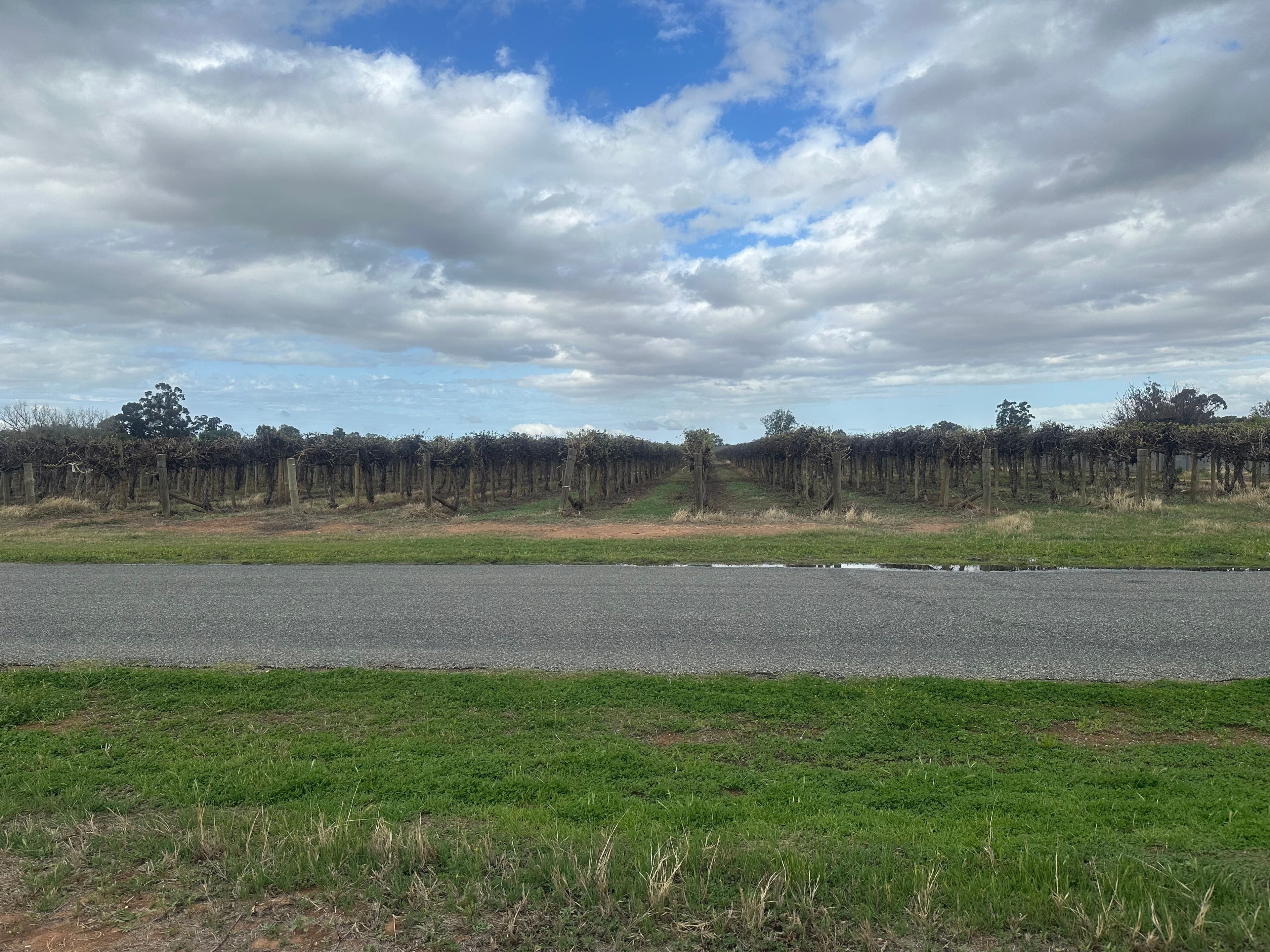 Lot 24 Tarcoola Street, Renmark West SA 5341, Renmark West - Image 1