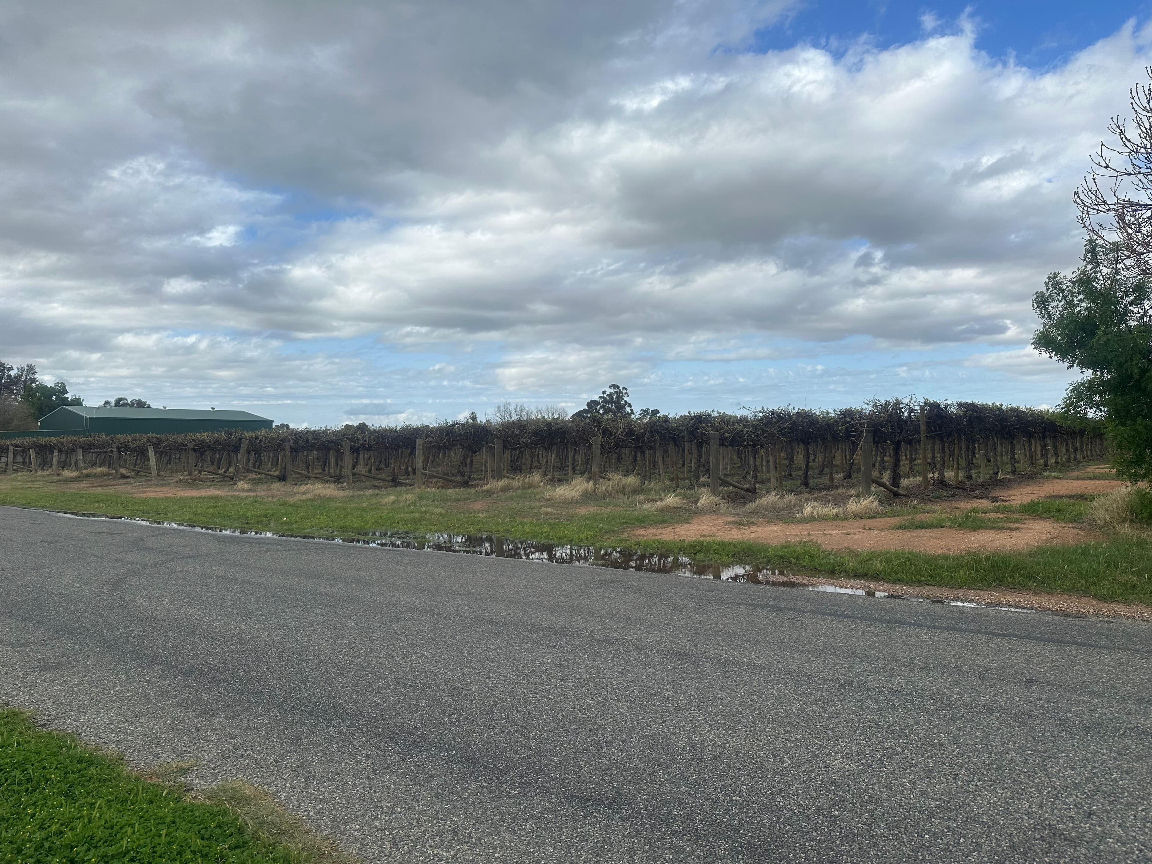 Lot 24 Tarcoola Street, Renmark West SA 5341, Renmark West - Thumbnail 2