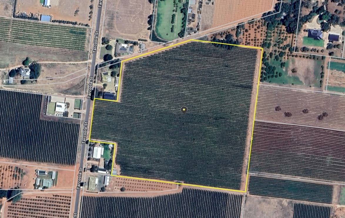 Lot 24 Tarcoola Street, Renmark West SA 5341, Renmark West - Thumbnail 5