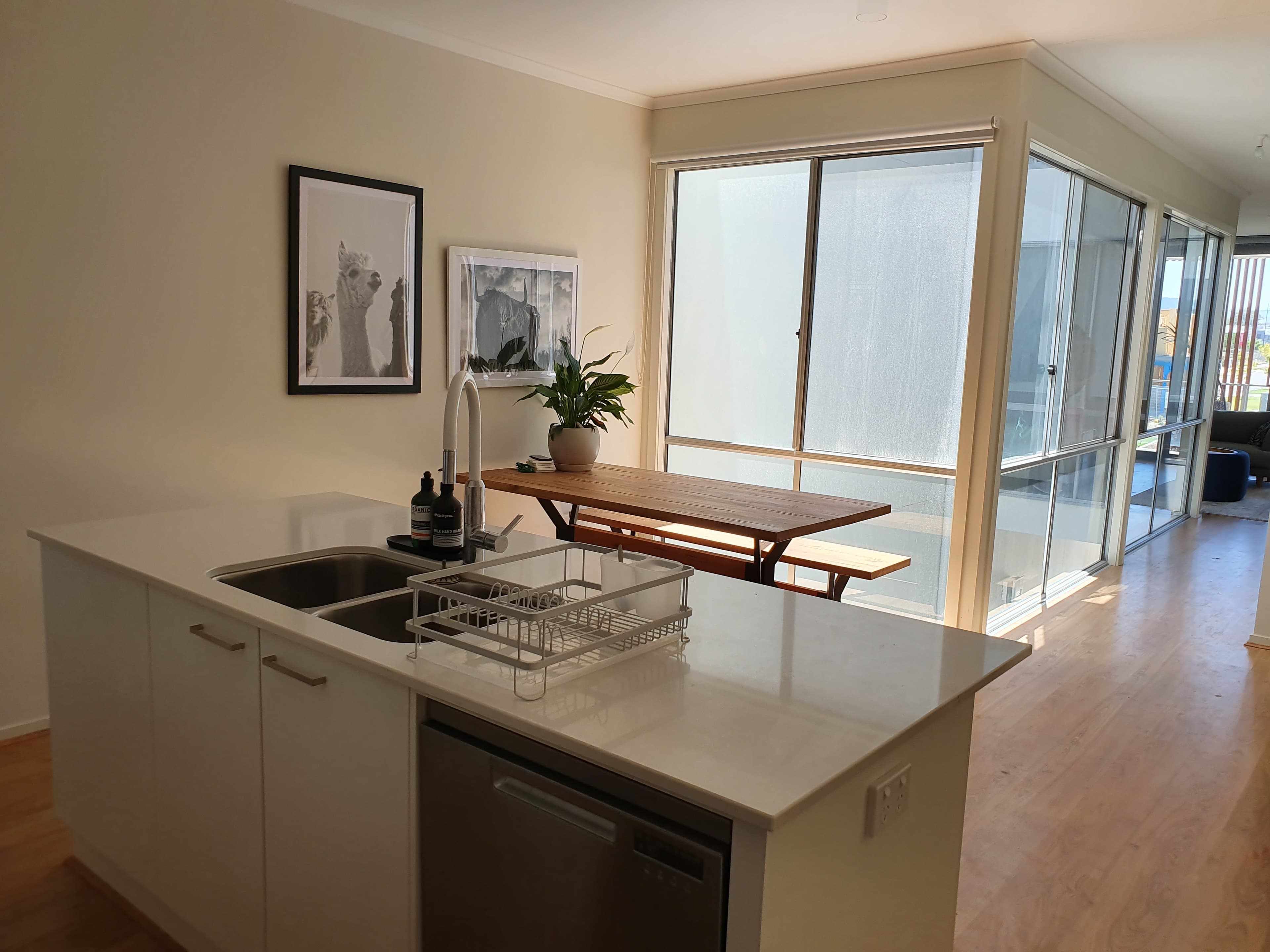 56 Patta Avenue LIGHTSVIEW, Lightsview - Thumbnail 4