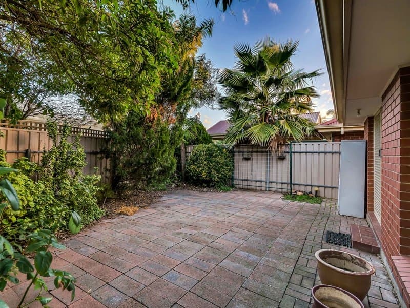 18 Springhill Avenue OAKDEN, Oakden - Thumbnail 2