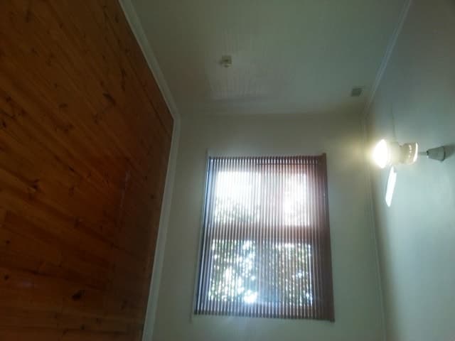 4 Walton Avenue CLEARVIEW, Clearview - Thumbnail 4