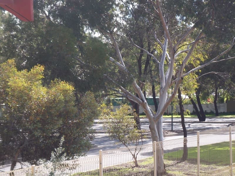 3/24 Grove Street MODBURY, Modbury - Thumbnail 5