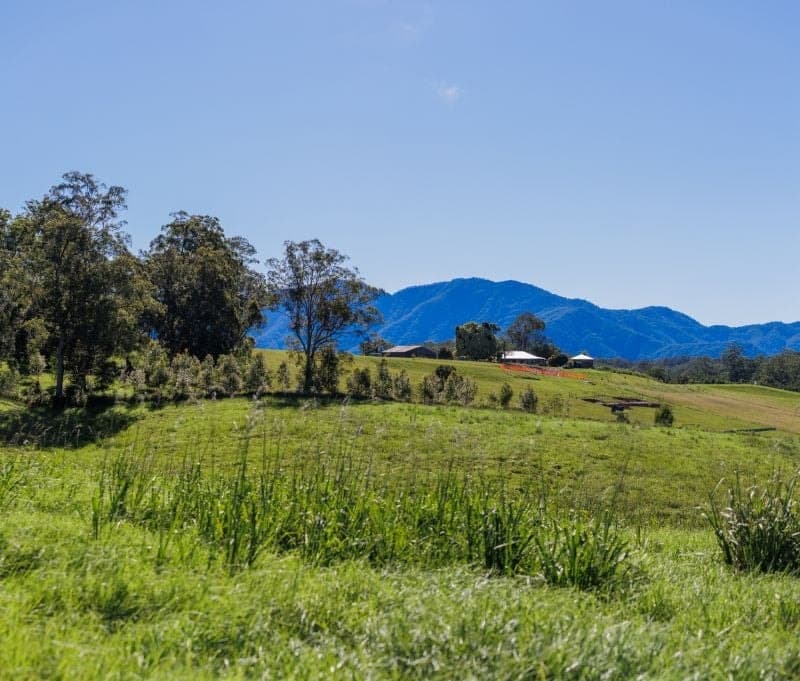 Lot 46 Hydes Creek Road BELLINGEN NSW, Bellingen - Thumbnail 2