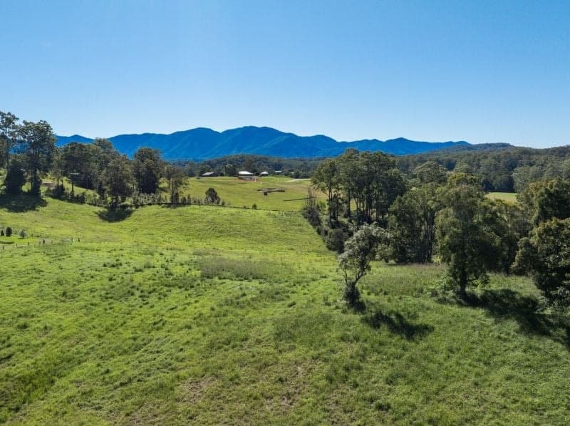 Lot 46 Hydes Creek Road BELLINGEN NSW, Bellingen - Thumbnail 7