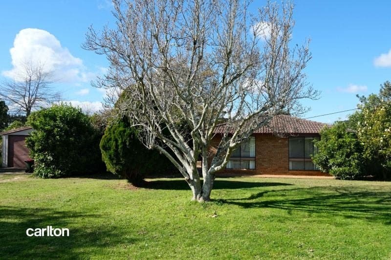 10 Beresford St, Balaclava NSW, Balaclava - Image 1