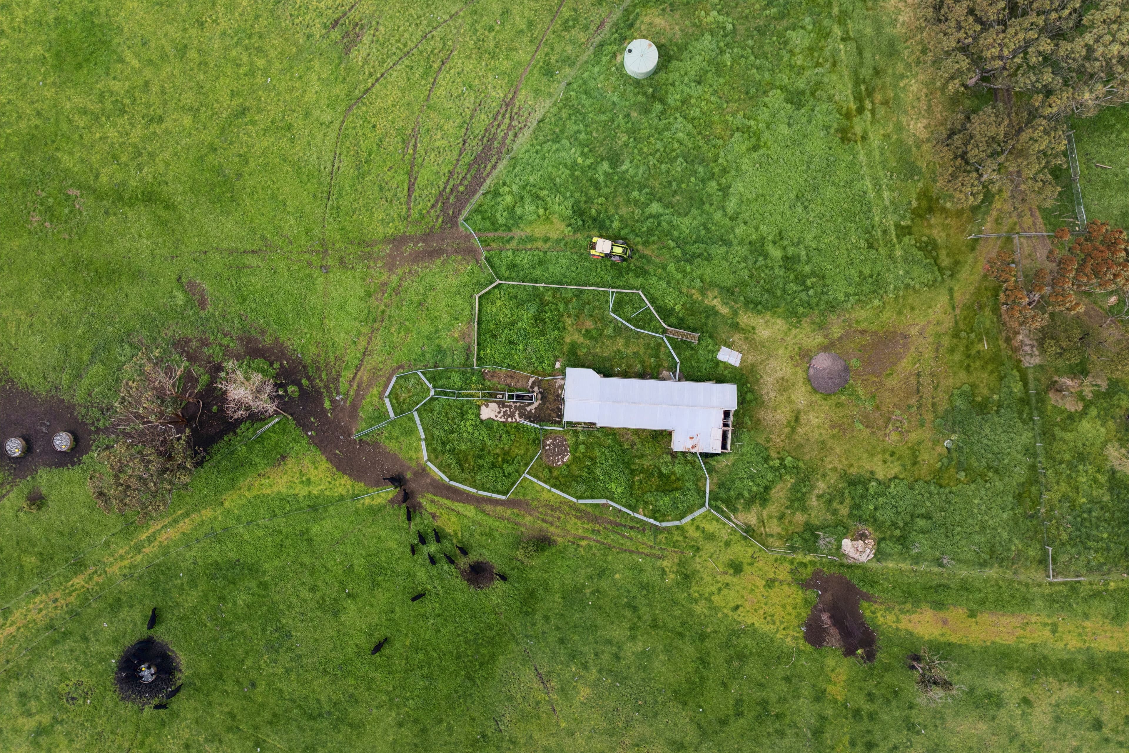 620 Larpent Road, Larpent, Larpent - Thumbnail 4