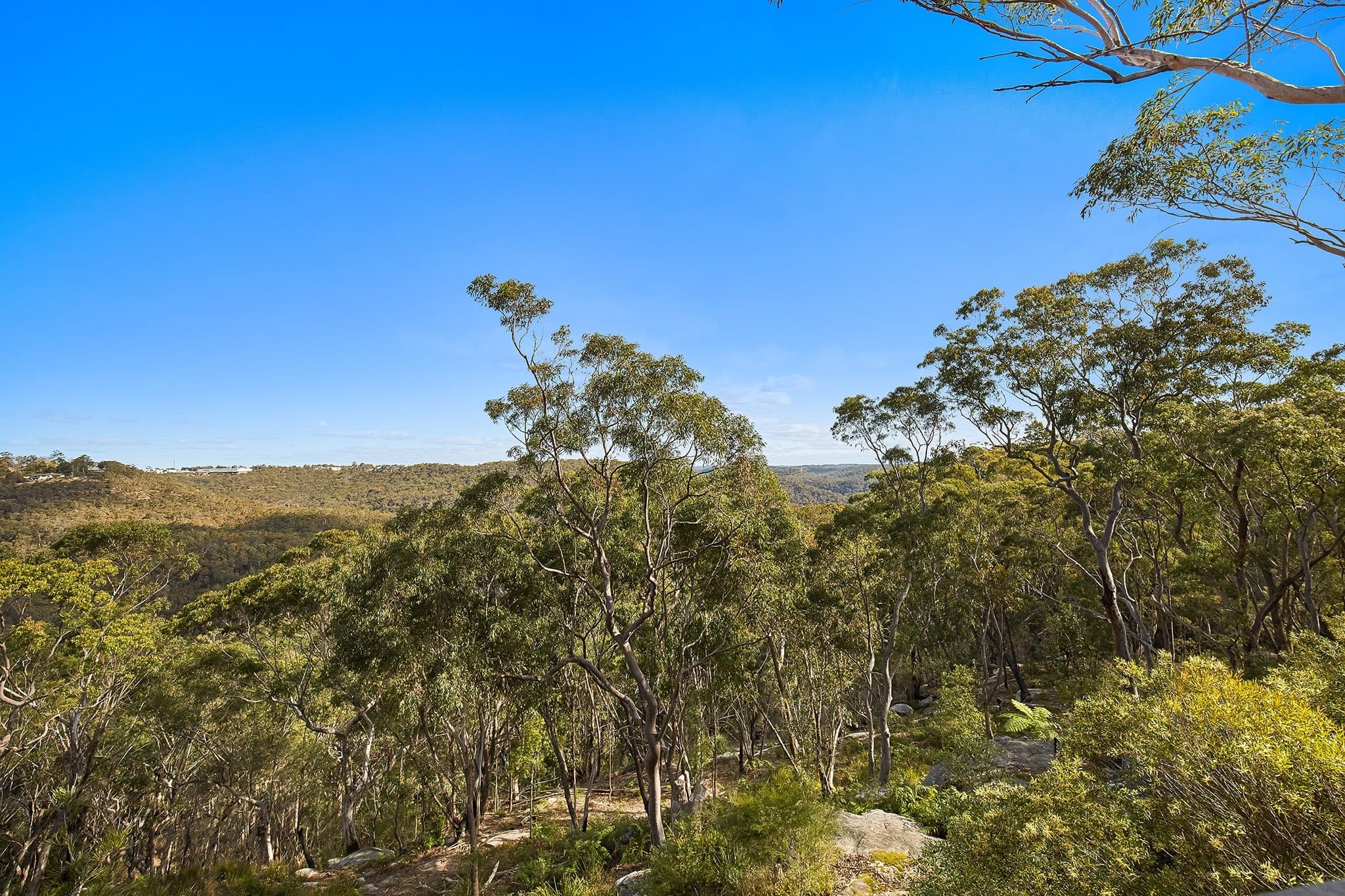 12 Easton Rd, Berowra Heights, Berowra Heights - Thumbnail 7