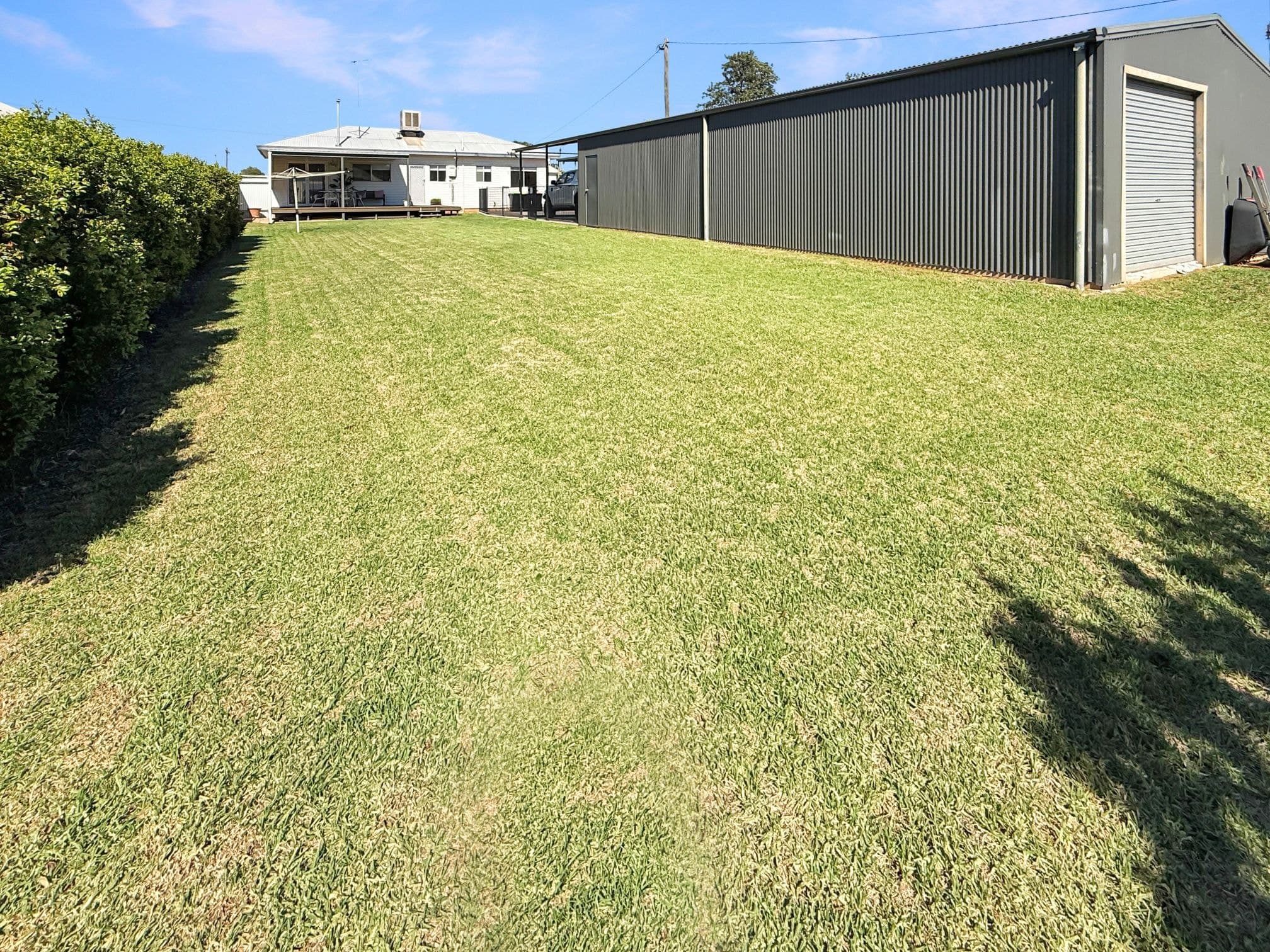 5 Beech Street, Leeton, Leeton - Thumbnail 4