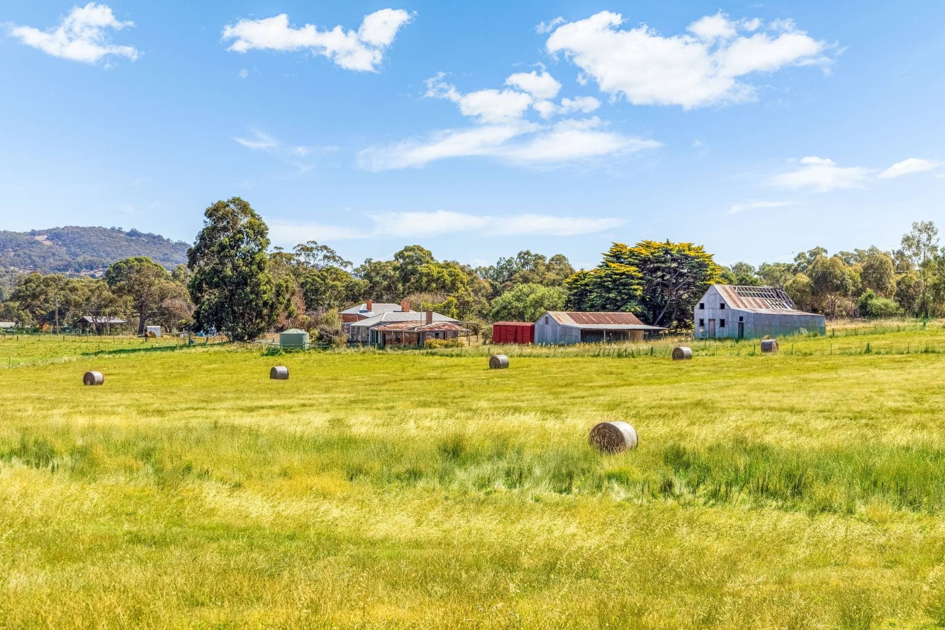 39 Craigie St, Harcourt - Thumbnail 6