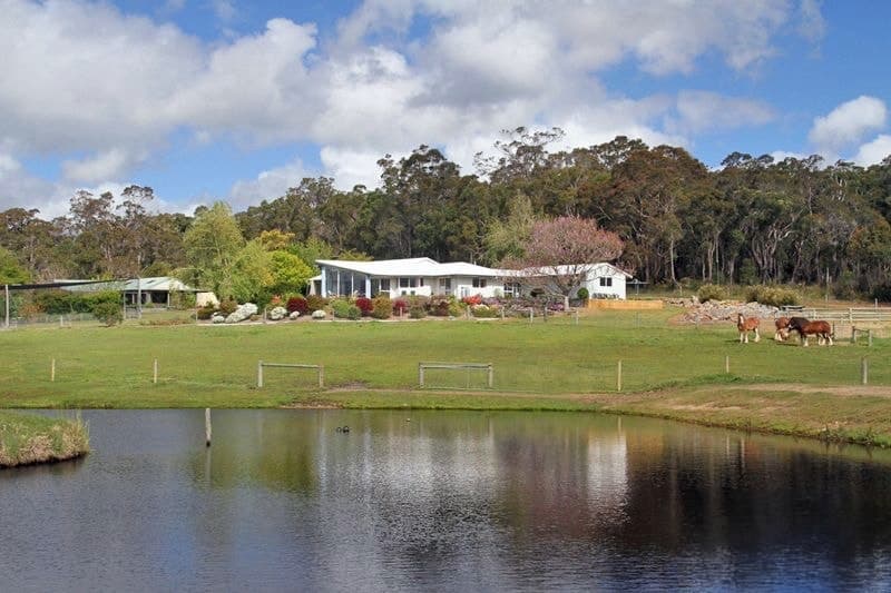 249 Harewood Road, Scotsdale, WA, Scotsdale - Thumbnail 3