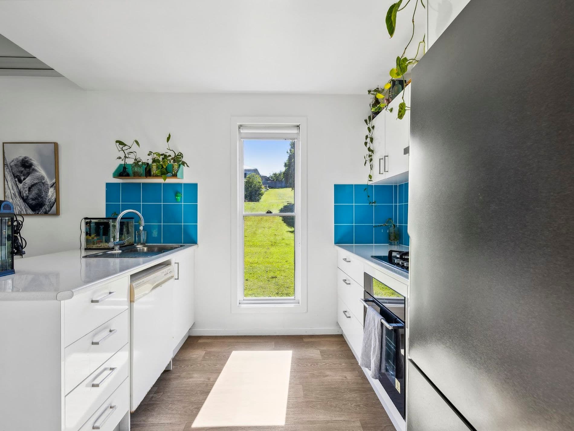 20 Sandpiper Drive, SCOTTS HEAD, Scotts Head - Thumbnail 7