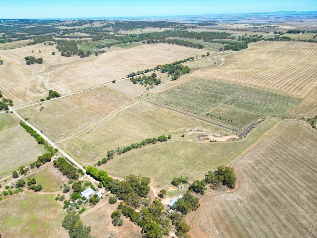235 Basham Road, Stanley Flat - Thumbnail 2