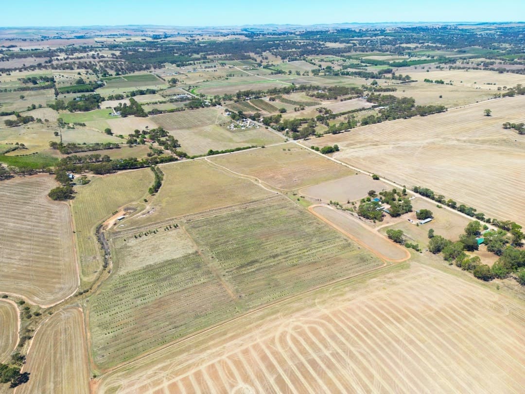 235 Basham Road, Stanley Flat - Thumbnail 4