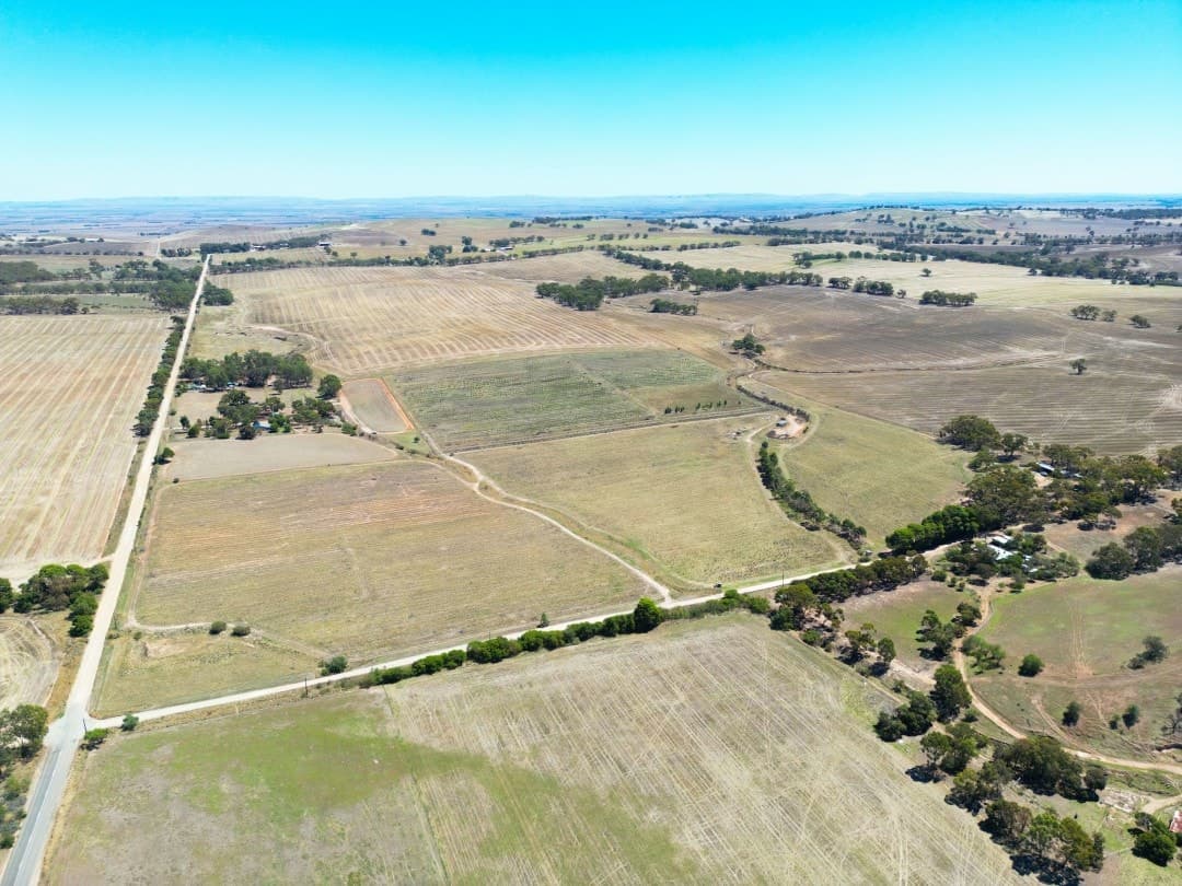 235 Basham Road, Stanley Flat - Thumbnail 5