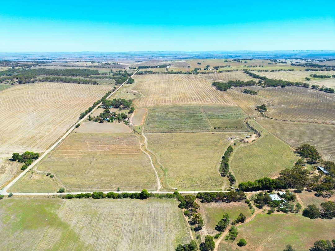 235 Basham Road, Stanley Flat - Thumbnail 6
