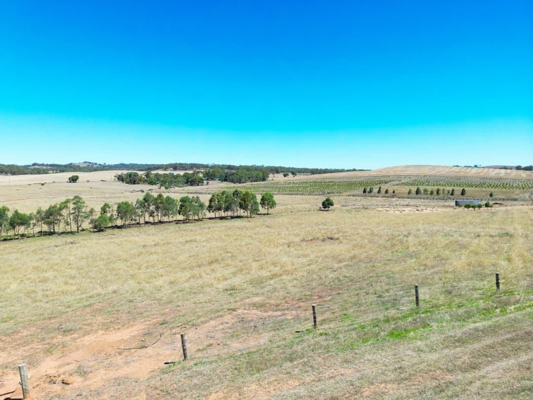 235 Basham Road, Stanley Flat - Thumbnail 7