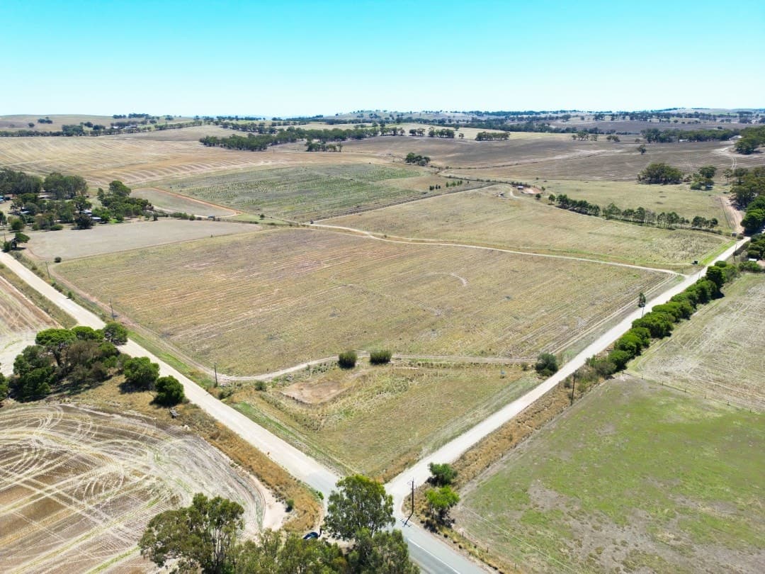 235 Basham Road, Stanley Flat - Thumbnail 8