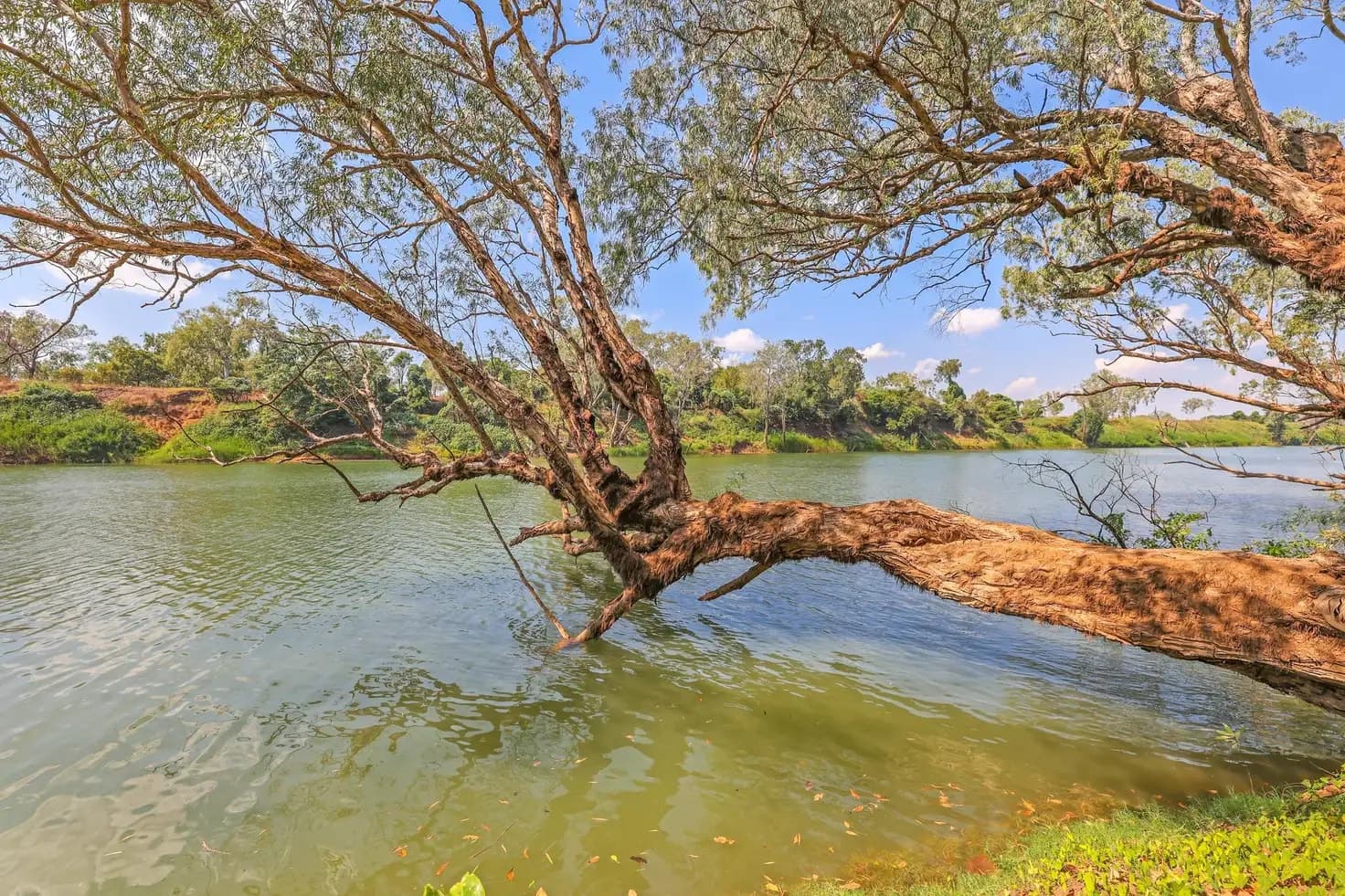 LOT 44 MANGO FARM RD, Lot 44 Mango Farm Rd - Thumbnail 6