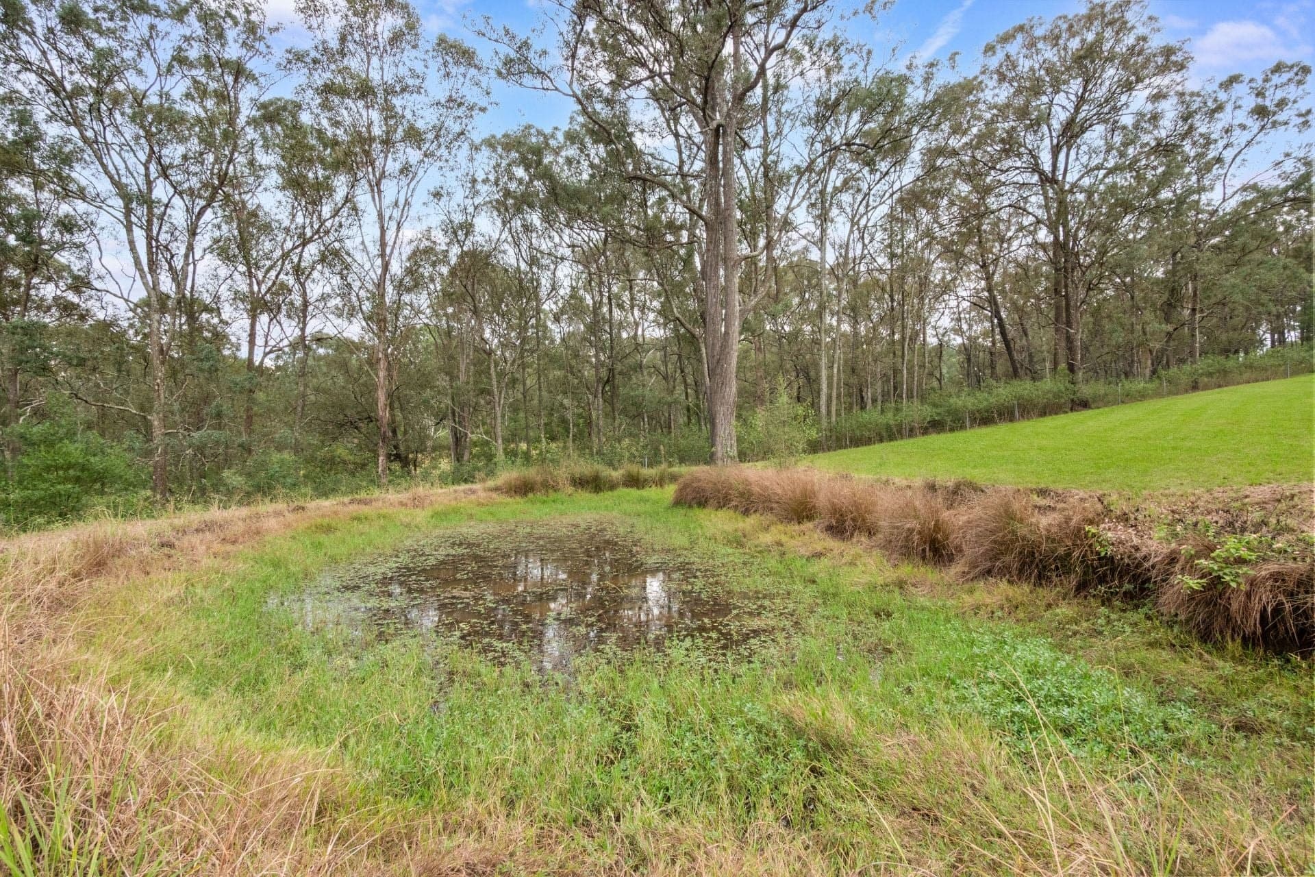 193B Crooked Lane, North Richmond - Image 1