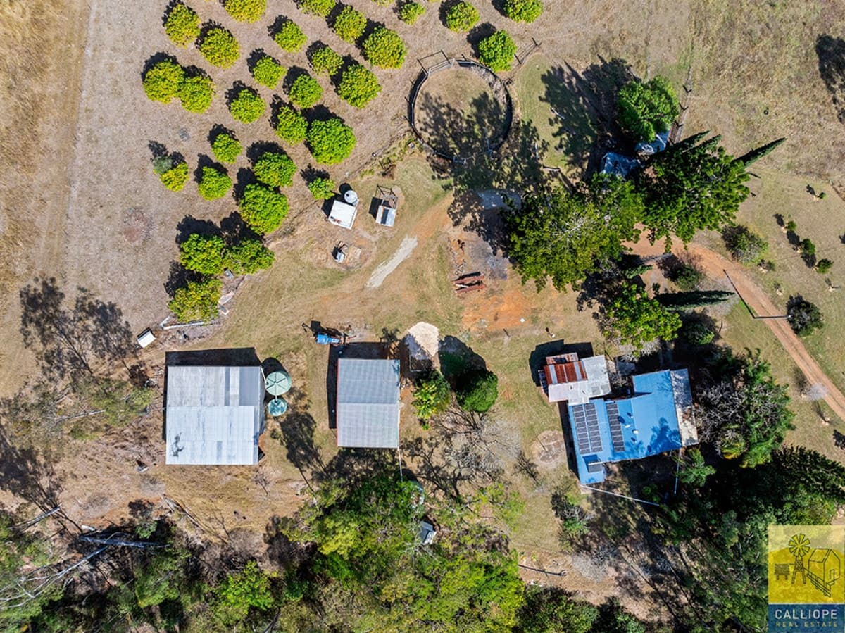 1316 Calliope River Road, West Stowe, QLD, West Stowe - Thumbnail 2
