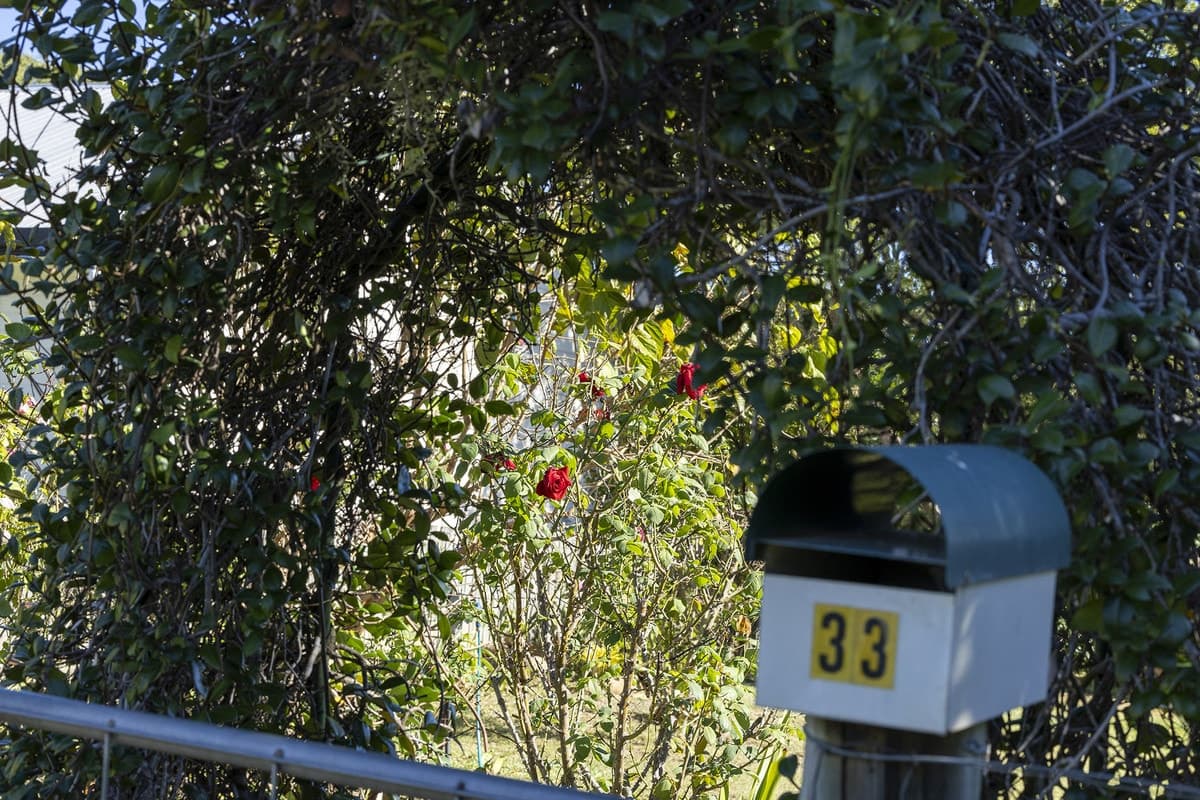 33 Dawes Street, Boyne Valley, QLD, Boyne Valley - Thumbnail 3