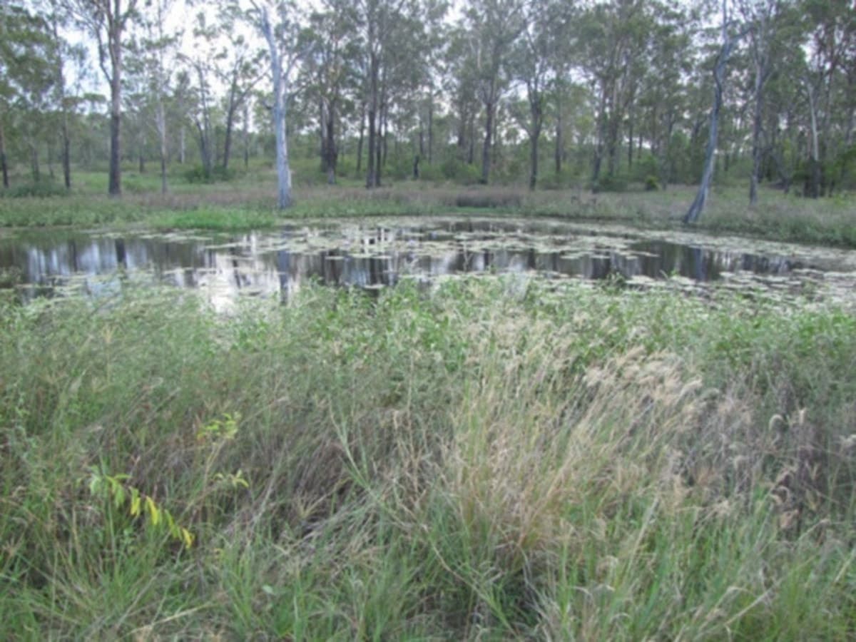 53821 Bruce Highway, MOUNT LARCOM, QLD, Mount Larcom - Thumbnail 2