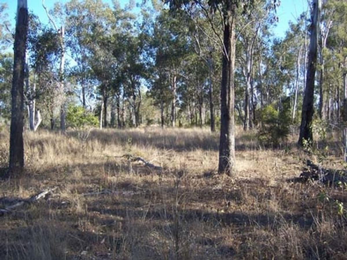 53821 Bruce Highway, MOUNT LARCOM, QLD, Mount Larcom - Thumbnail 3