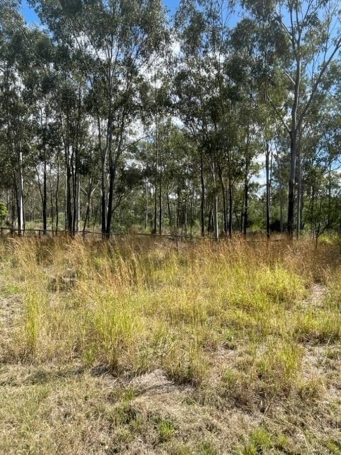 203 Darts Creek Road, DARTS CREEK, QLD, Darts Creek - Image 1