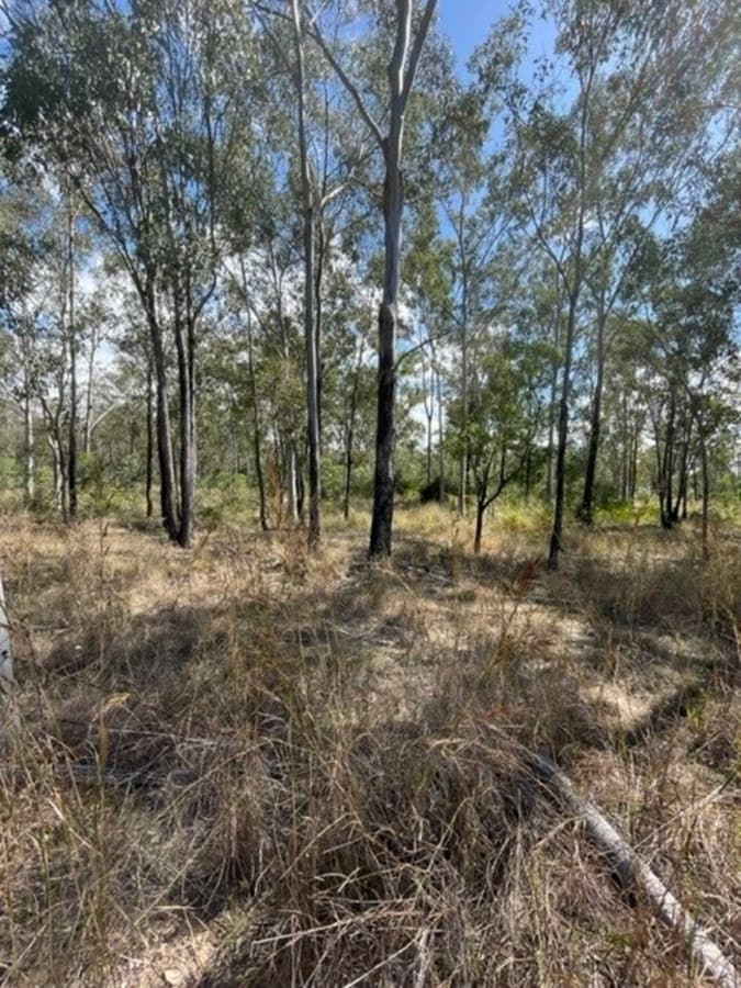 203 Darts Creek Road, DARTS CREEK, QLD, Darts Creek - Thumbnail 2