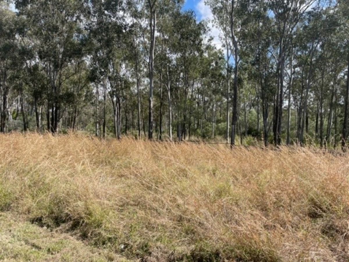 203 Darts Creek Road, DARTS CREEK, QLD, Darts Creek - Thumbnail 3