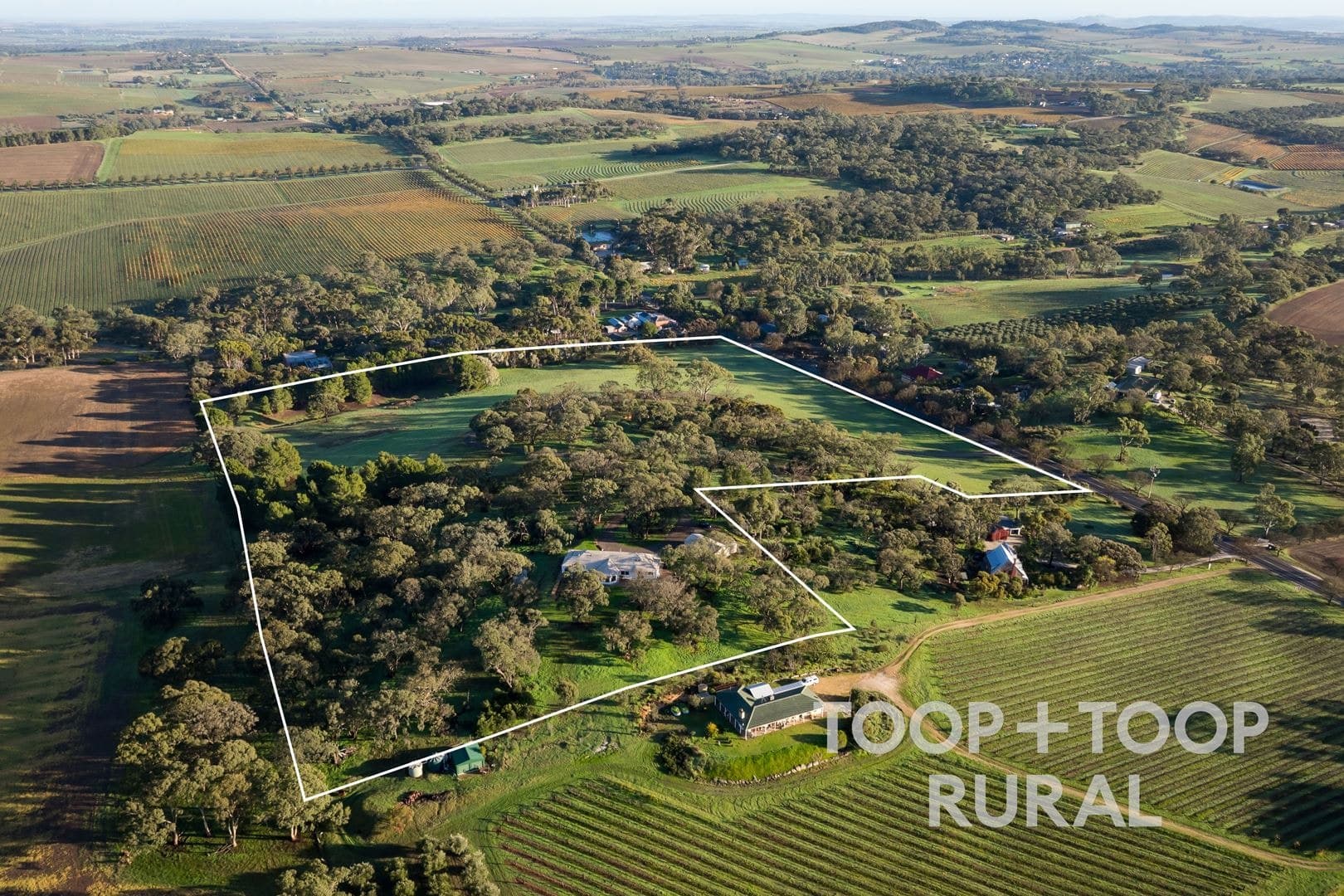 429 Seppeltsfield Road, Marananga SA 5355, Marananga - Thumbnail 4