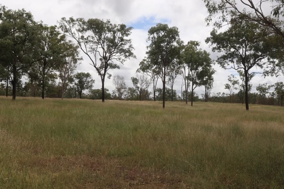 685 Neill Creek Road, WOODERSON, Wooderson - Image 1