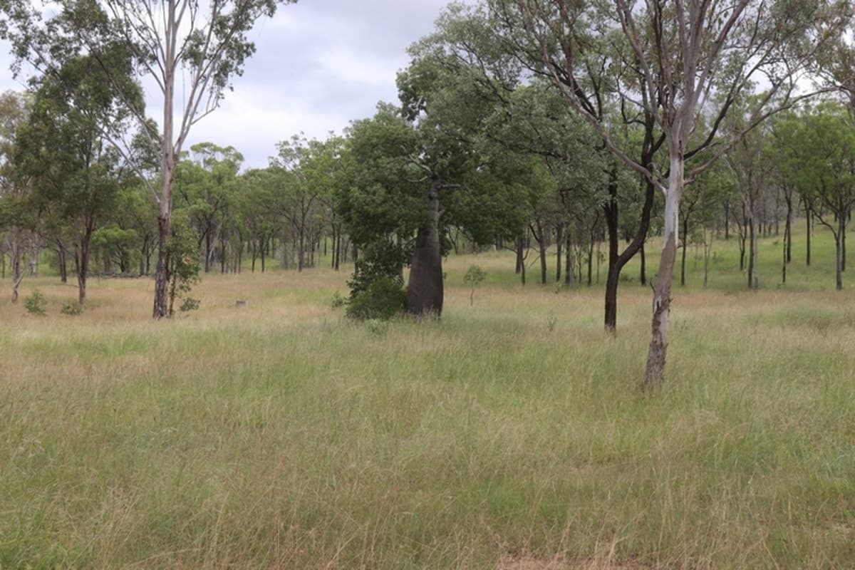 685 Neill Creek Road, WOODERSON, QLD, Wooderson - Thumbnail 2