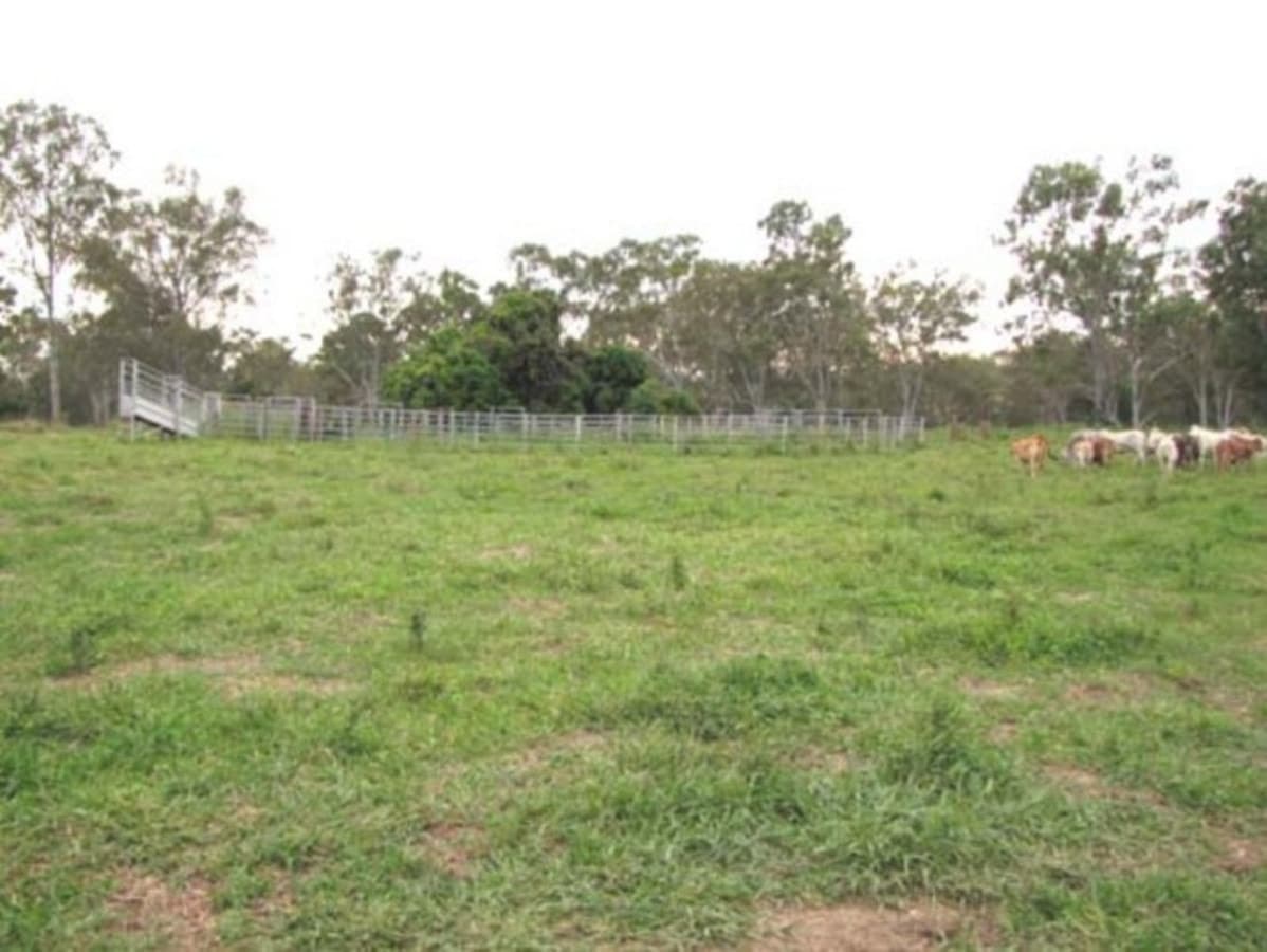 00 Raglan Station Road, RAGLAN, QLD, Raglan - Thumbnail 2