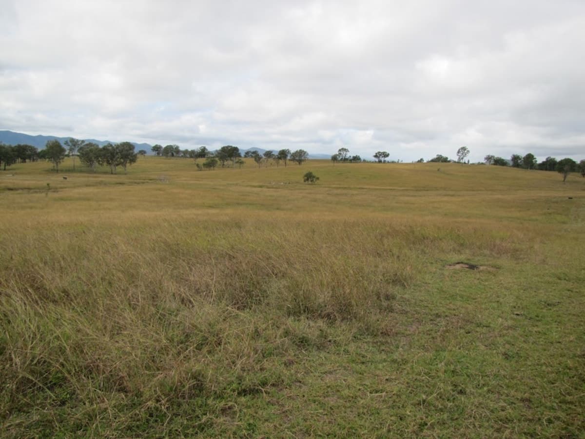 BOYNE VALLEY, QLD, Boyne Valley - Image 1