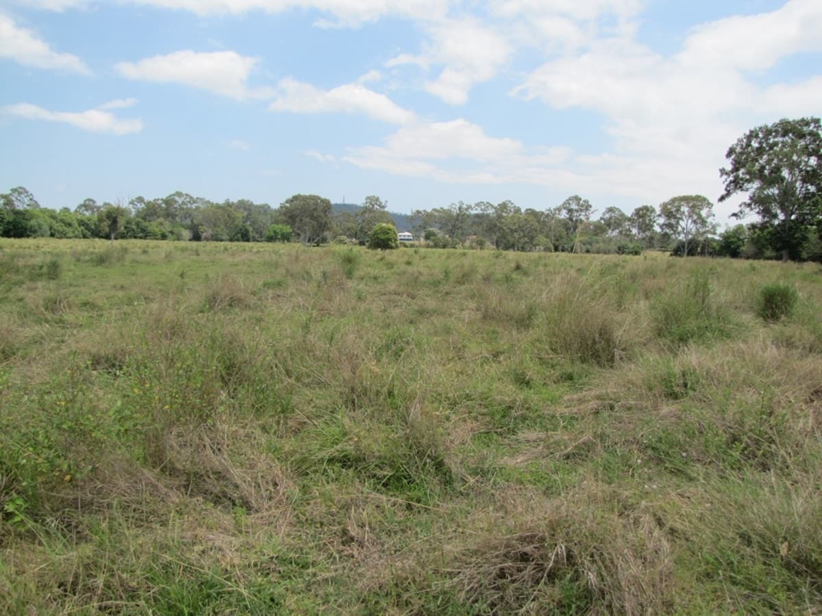 1330 Raglan Station Road, RAGLAN, QLD, Raglan - Image 1