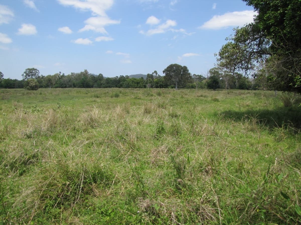 1330 Raglan Station Road, RAGLAN, QLD, Raglan - Thumbnail 2