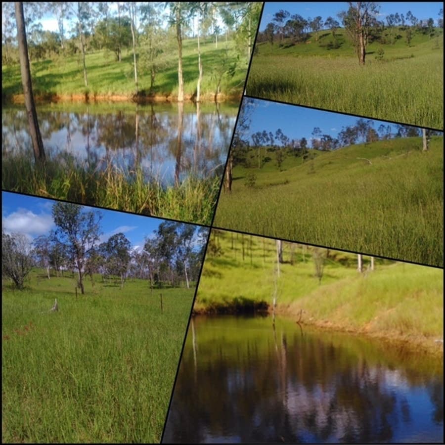 00 Marsh Road, CALLIOPE, QLD, Calliope - Image 1