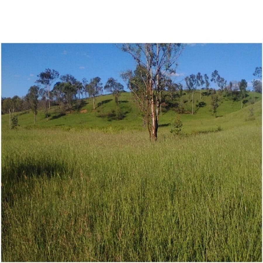 00 Marsh Road, CALLIOPE, QLD, Calliope - Thumbnail 3