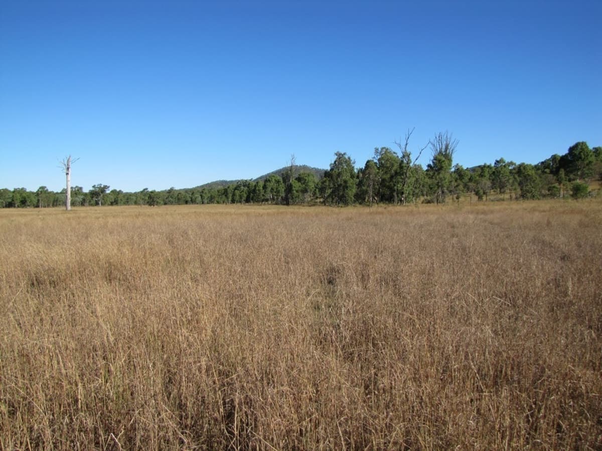 00 Gladstone - Monto Road, CALLIOPE, QLD, Calliope - Thumbnail 2