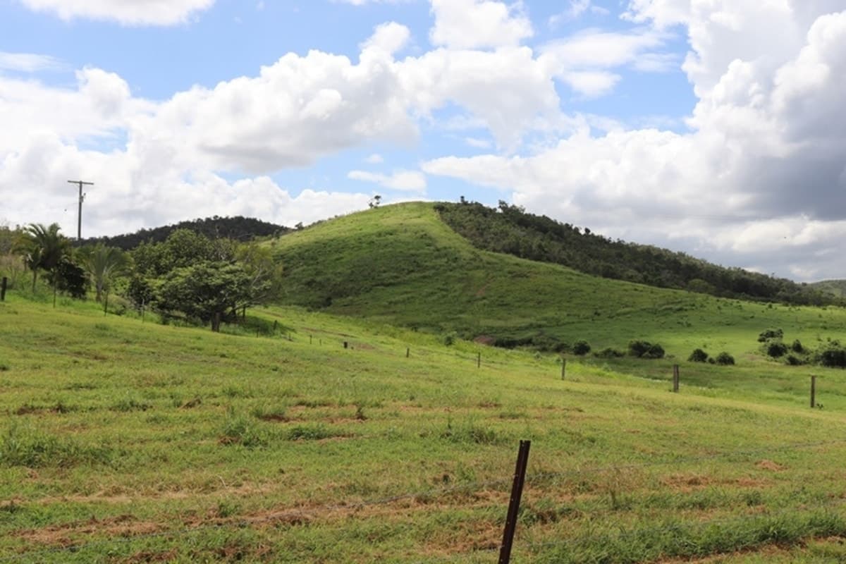 610 Darts Creek Road, DARTS CREEK, QLD, Darts Creek - Image 1