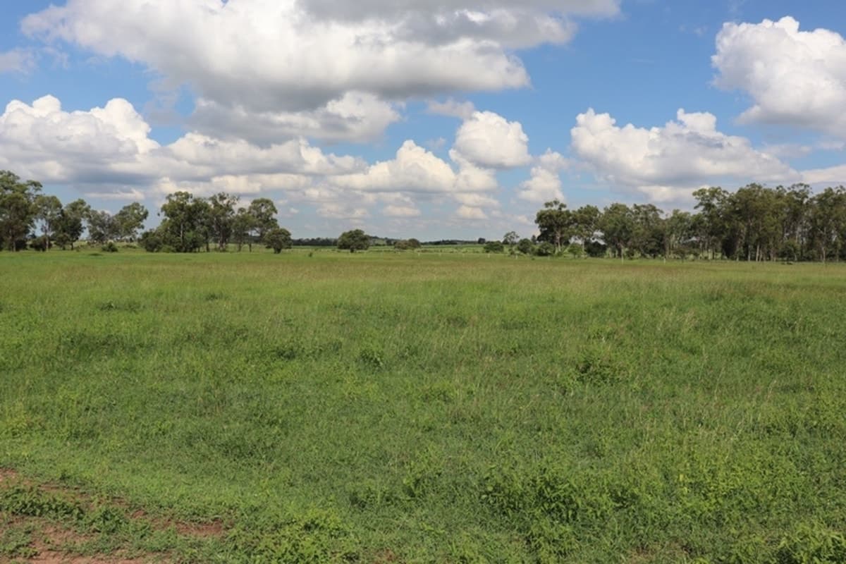 119 Dunnetts Road, BRACEWELL, QLD, Bracewell - Image 1