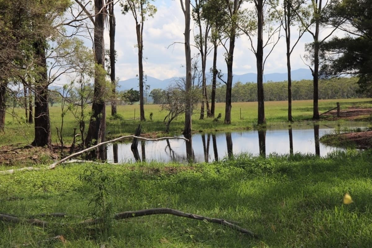119 Dunnetts Road, BRACEWELL, QLD, Bracewell - Thumbnail 2