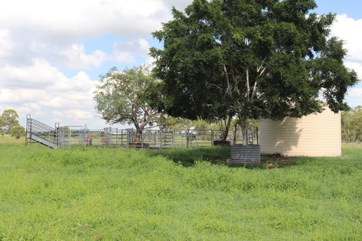 119 Dunnetts Road, BRACEWELL, QLD, Bracewell - Thumbnail 3