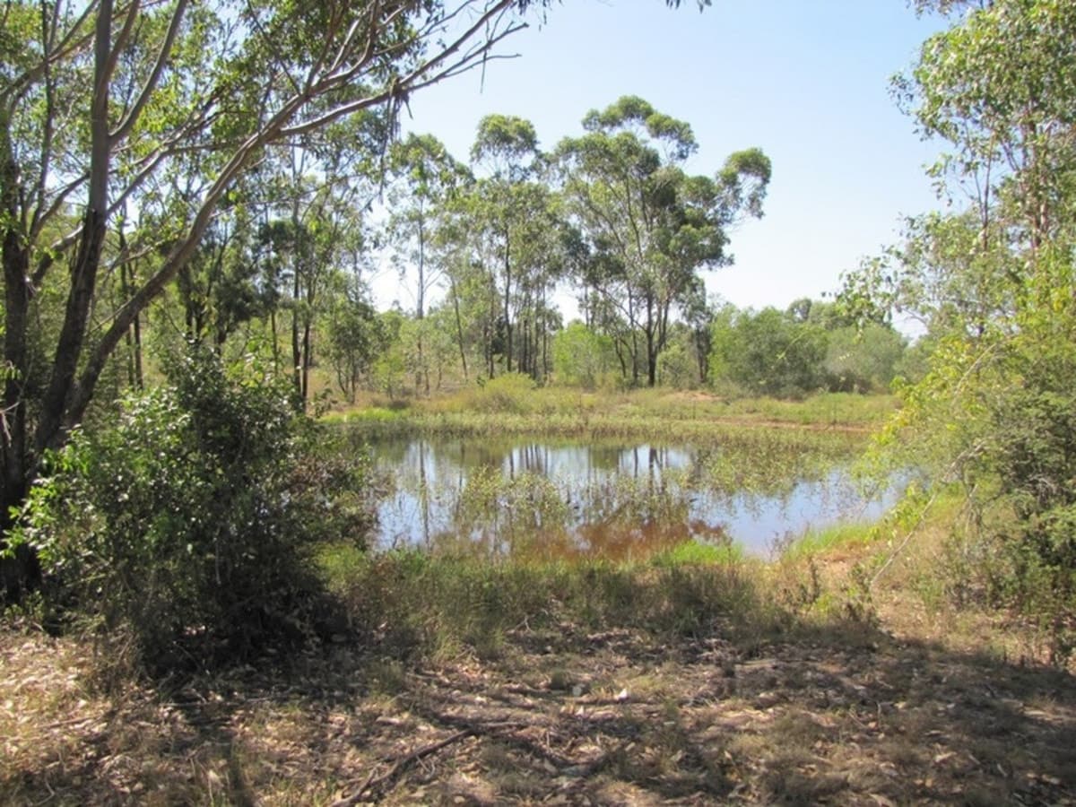603 Ambrose-Bracewell Road, AMBROSE, QLD, Ambrose - Thumbnail 2