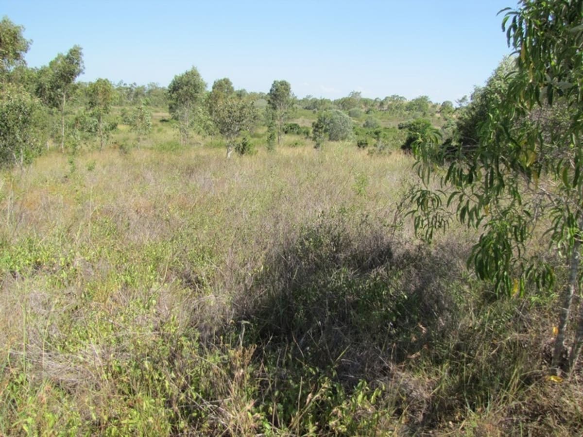 603 Ambrose-Bracewell Road, AMBROSE, QLD, Ambrose - Thumbnail 3